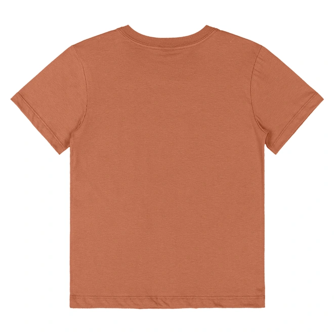 Conjunto Camiseta em Malha e Bermuda Microfibra - Marrom