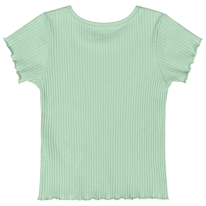 Blusa Manga Curta em Ribana Canelada - Verde Pastel