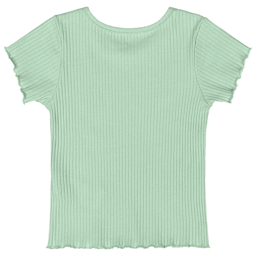 Blusa Manga Curta em Ribana Canelada - Verde Pastel