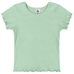 Blusa Manga Curta em Ribana Canelada - Verde Pastel