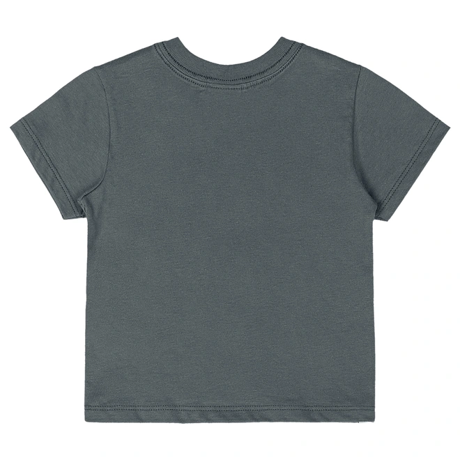 Conjunto Camisa Meia Manga em Malha e Bermuda em Microfibra - Chumbo