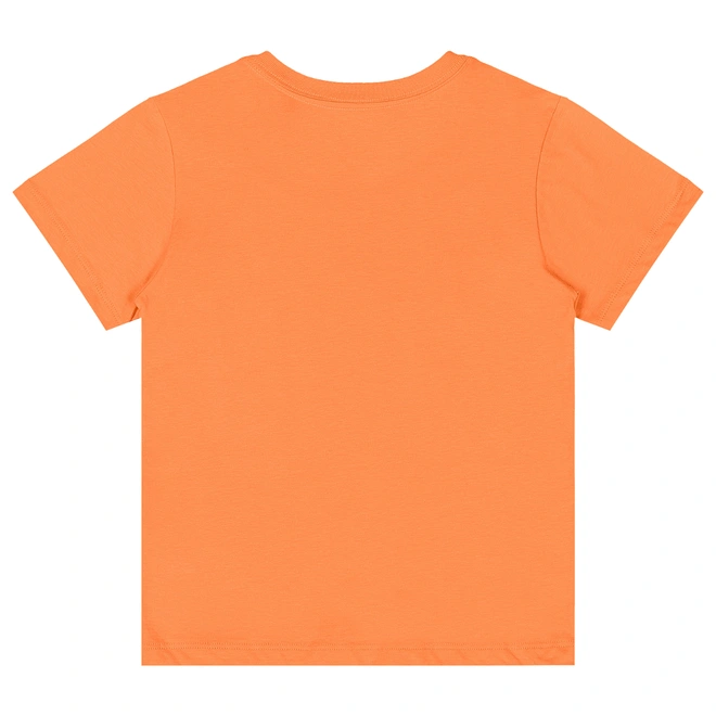 Camiseta Básica Manga Curta em Meia Malha - Tangerina