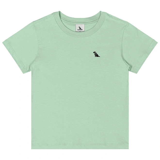 Camiseta Básica Manga Curta em Meia Malha - Verde Pastel