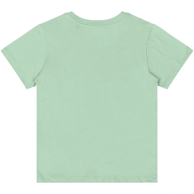 Camiseta Básica Manga Curta em Meia Malha - Verde Pastel