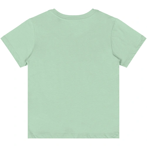 Camiseta Básica Manga Curta em Meia Malha - Verde Pastel