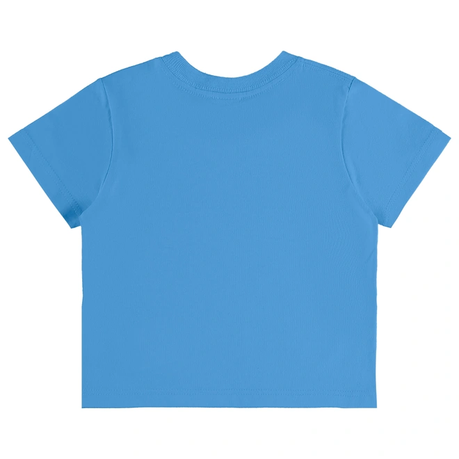 Conjunto Camiseta em Malha e Bermuda em Moletom sem Felpa Estampa Tigre Abstrato - Azul Ethereal