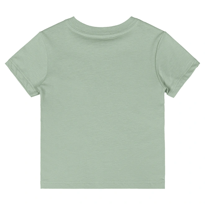 Conjunto Camisa Meia Manga em Malha e Bermuda em Microfibra Estampa de Bichos - Verde