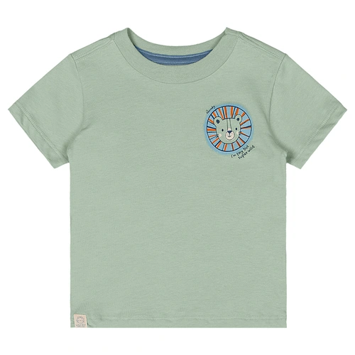 Conjunto Camisa Meia Manga em Malha e Bermuda em Microfibra Estampa de Bichos - Verde