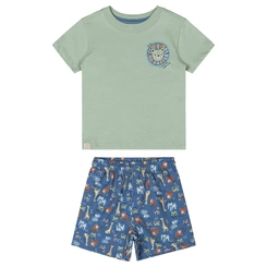 Conjunto Camisa Meia Manga em Malha e Bermuda em Microfibra Estampa de Bichos - Verde